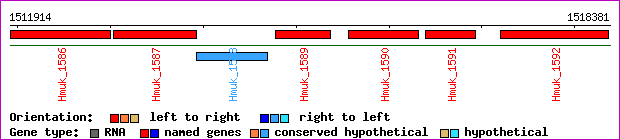 gene map