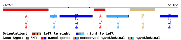 gene map