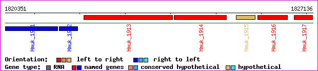 gene map