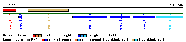 gene map