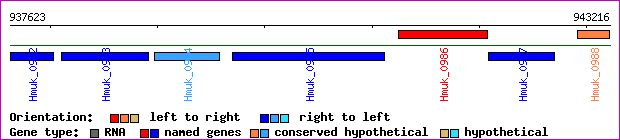 gene map