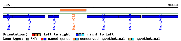 gene map