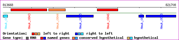 gene map