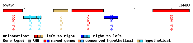 gene map