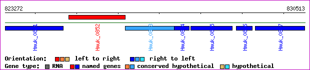 gene map