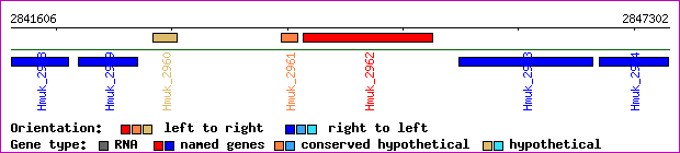 gene map