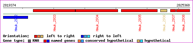 gene map