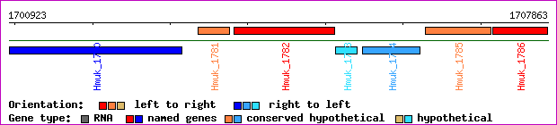 gene map