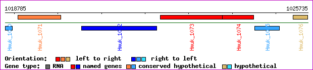 gene map