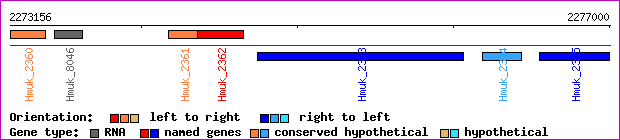 gene map