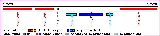 gene map