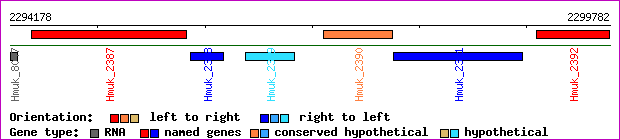 gene map