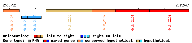 gene map