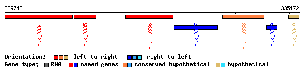 gene map