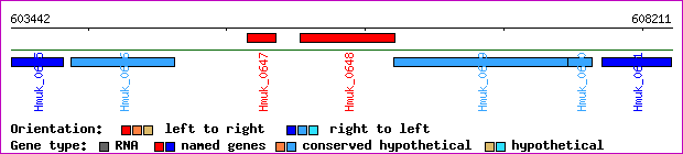 gene map
