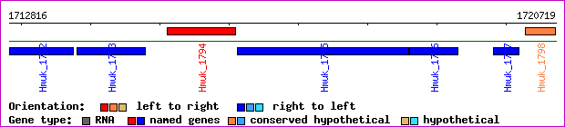 gene map