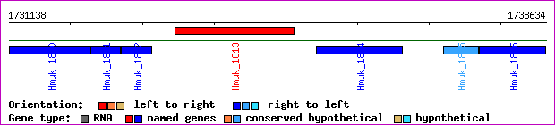 gene map