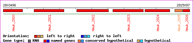 gene map