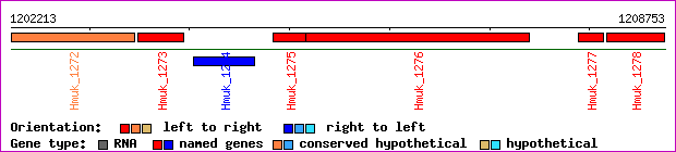 gene map