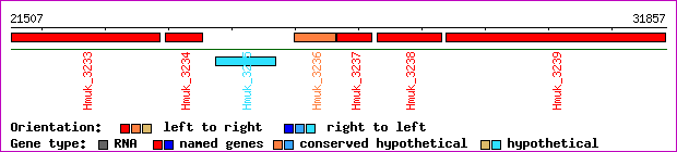 gene map