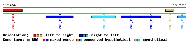 gene map