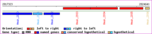 gene map