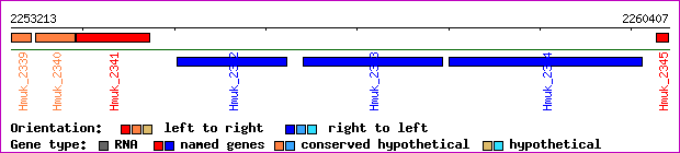 gene map