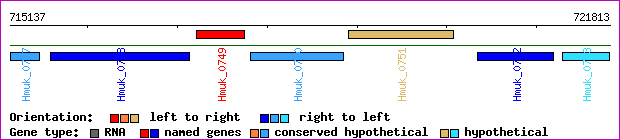 gene map