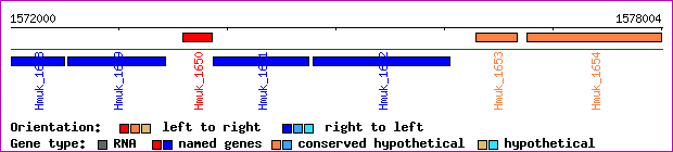 gene map