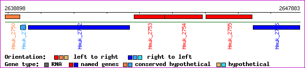 gene map
