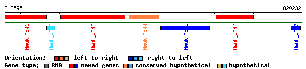 gene map
