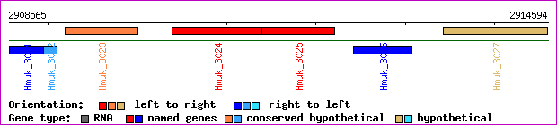 gene map