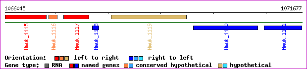 gene map