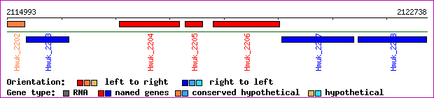 gene map