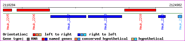 gene map