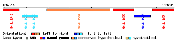 gene map