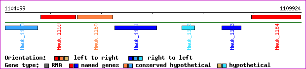 gene map