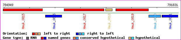 gene map