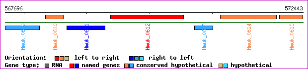 gene map