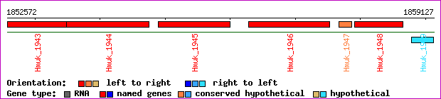 gene map