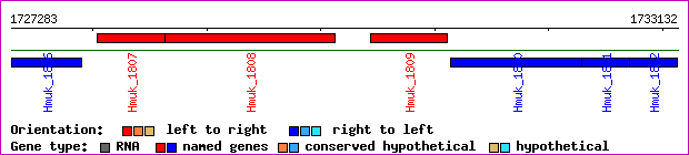 gene map