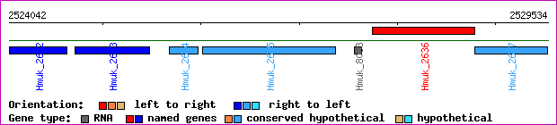 gene map