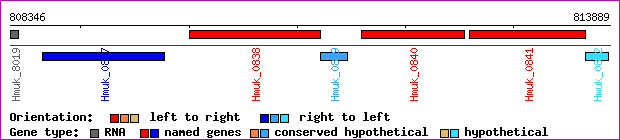 gene map