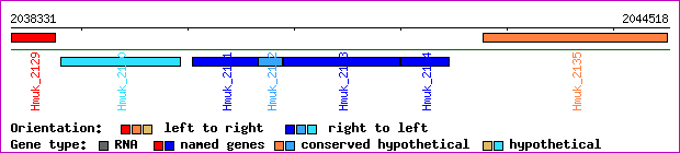 gene map
