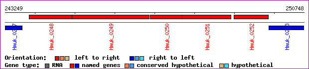 gene map