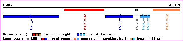 gene map