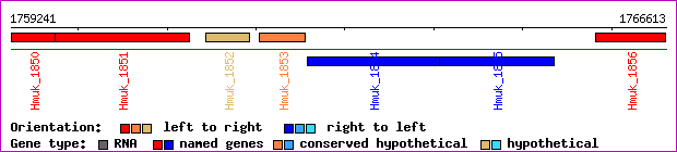 gene map