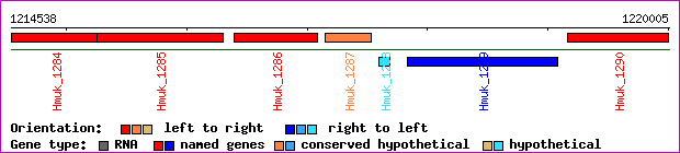 gene map
