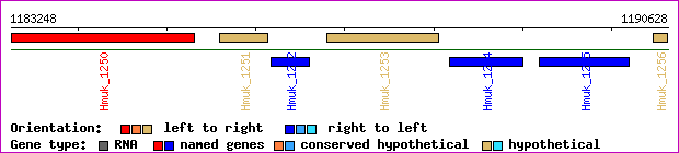 gene map