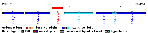 gene map